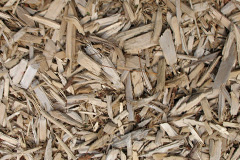 biomass boilers Ronkswood